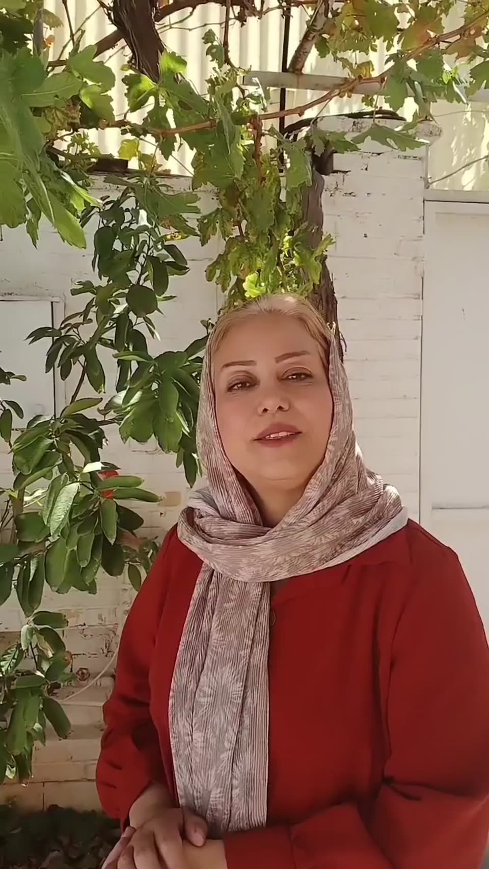 قرص کود کروا