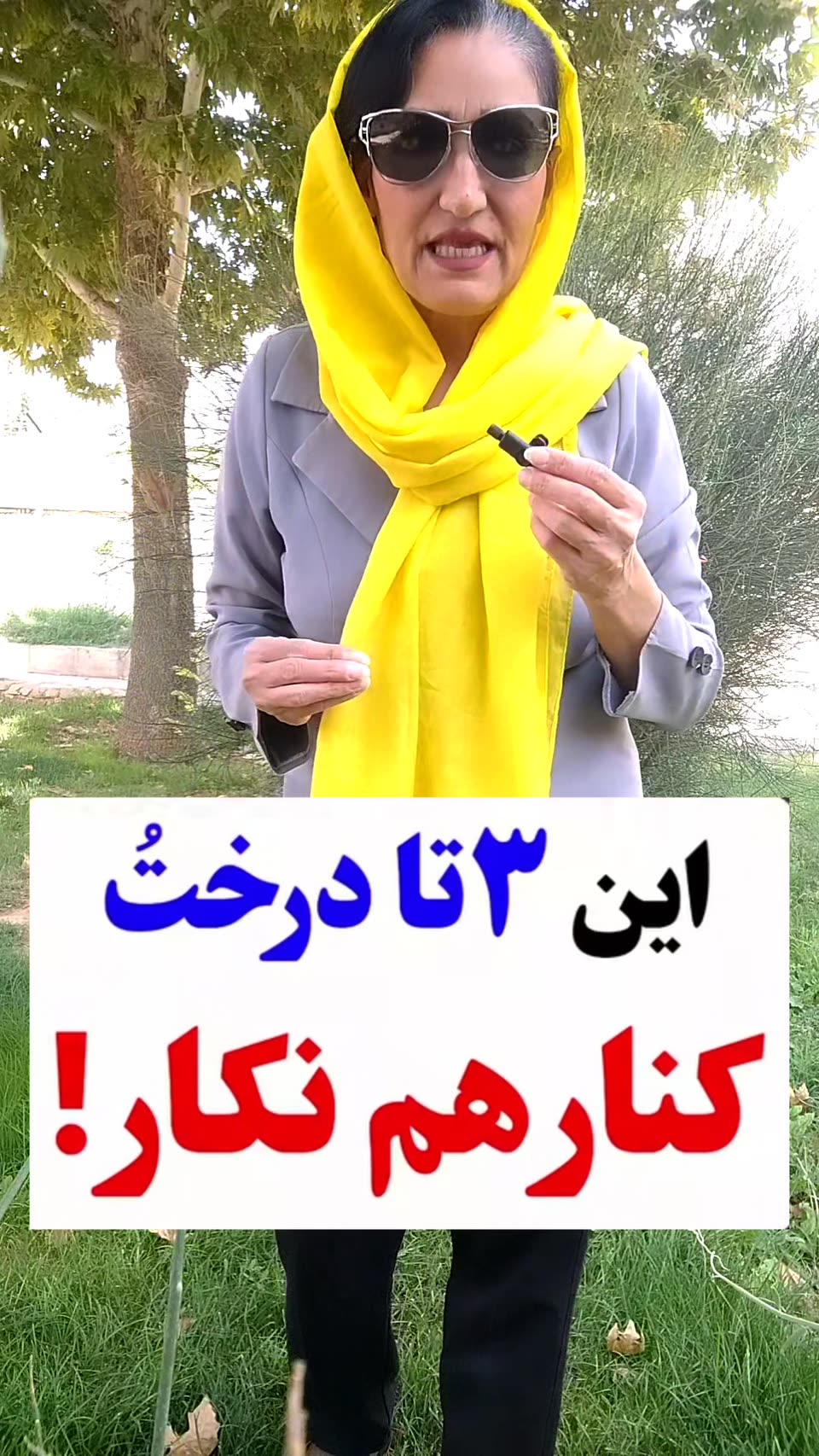 این سه تا درخت رو کنار هم نکار
