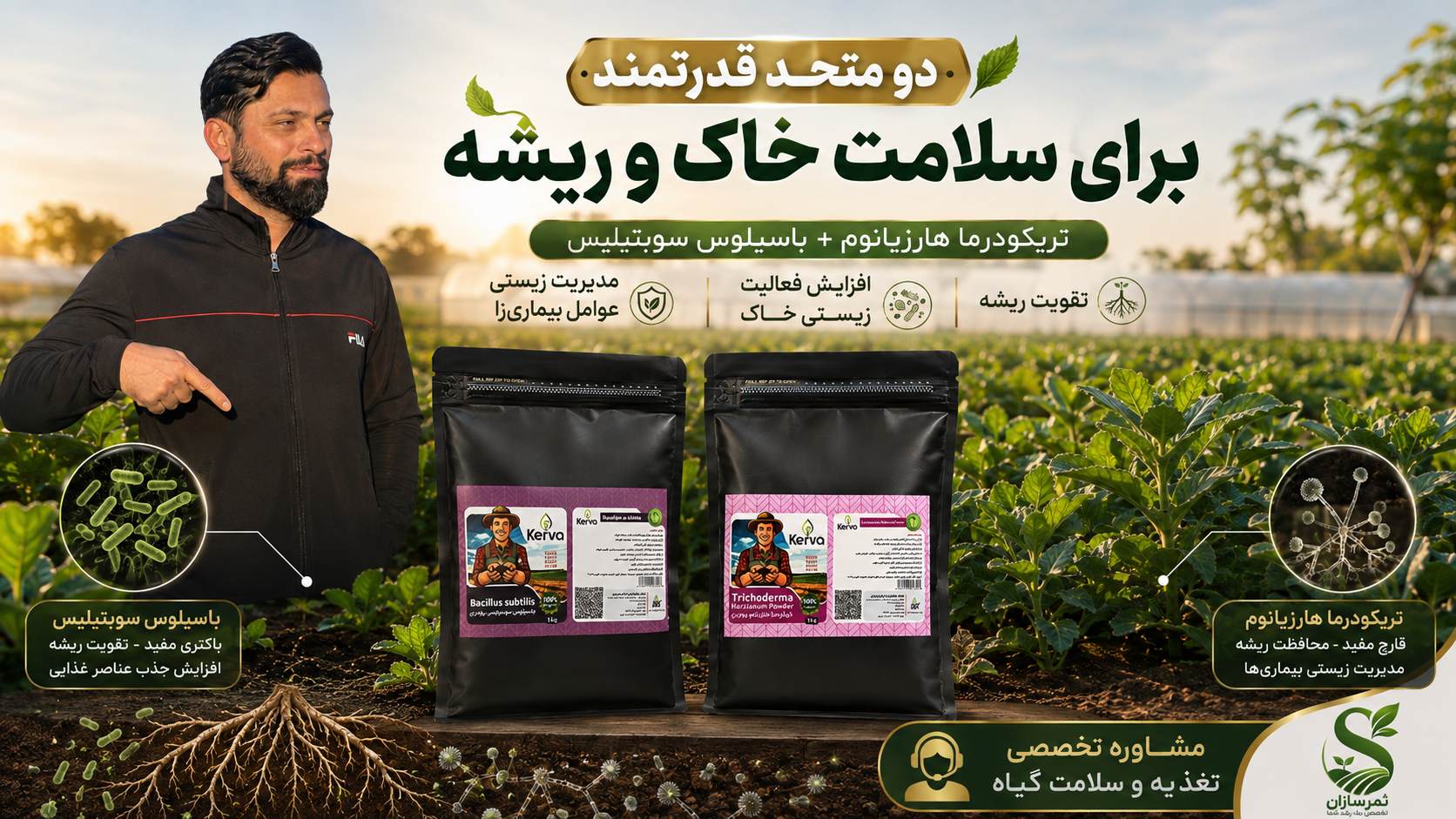 گالری ثمرسازان