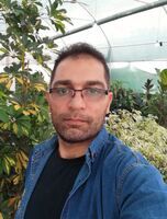 محمود احمدی