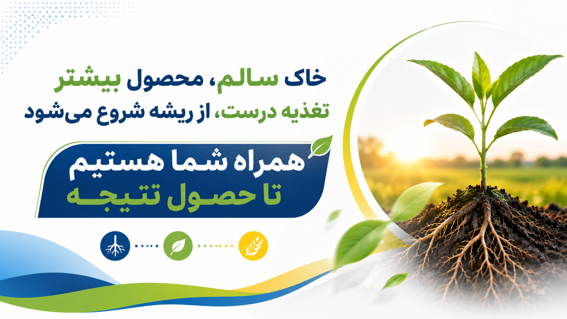 سبزینه/سلامت گیاه