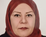 Profile picture for user MMohandesi
