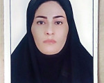 Profile picture for user somayeh2026