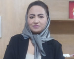 Zasadi1358