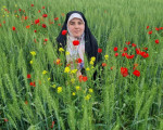 fatemehfm59